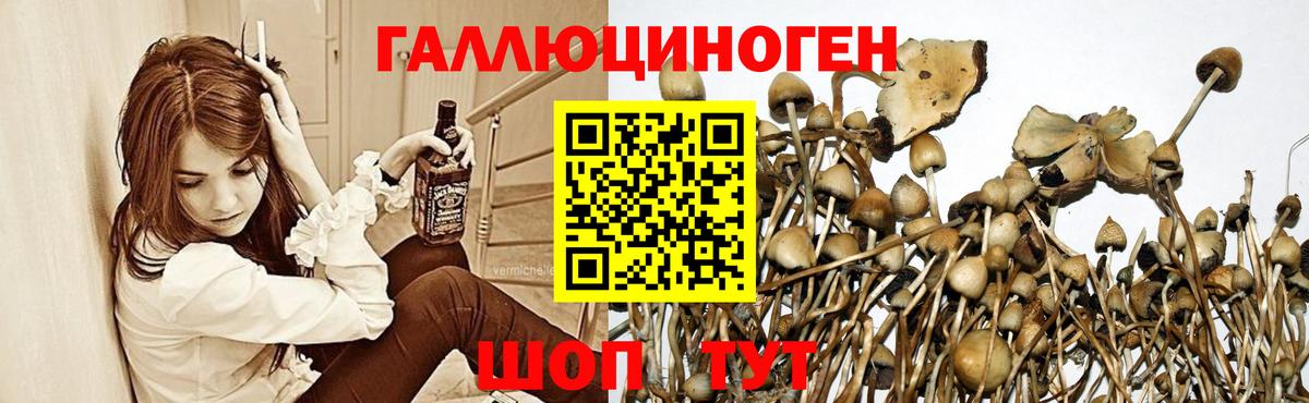 Псилоцибиновые грибы ЛСД  Вход с VPN  Химки  Псилоцибиновые грибы прущие грибы 